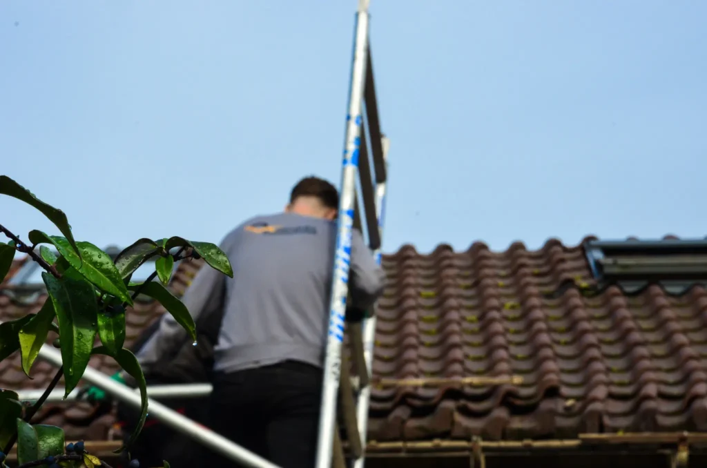 Onderhoud van schoorsteen